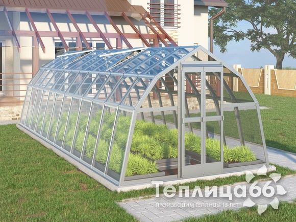Теплица Рада Волга под стекло, 3х8 метров