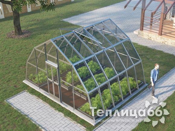 Теплица Рада Амазонка под стекло, 5х4 метра