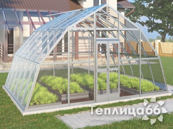Теплица Рада Амазонка под стекло, 5х4 метра