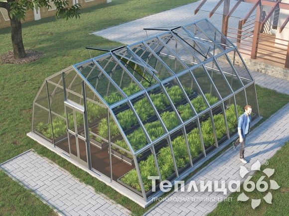 Теплица Рада Амазонка под стекло, 5х6 метров