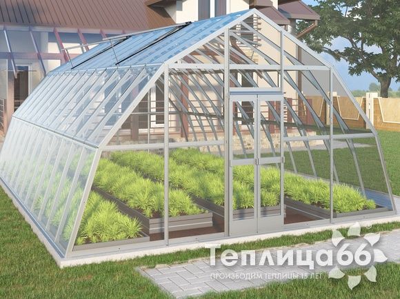 Теплица Рада Амазонка под стекло, 5х8 метров