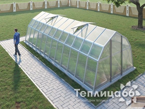Теплица Рада Байкал из поликарбоната, 3x8 метров