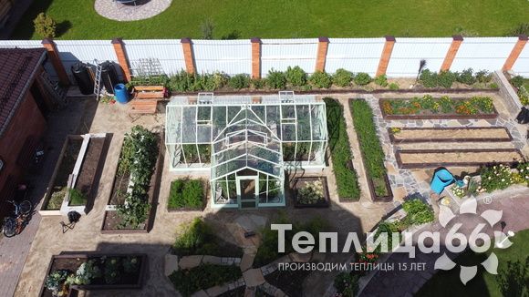 Теплица Ботаник в необычном цвете!