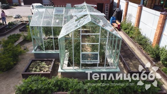 Теплица Ботаник в необычном цвете!
