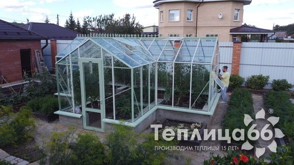 Теплица Ботаник в необычном цвете!