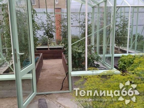 Теплица Ботаник в необычном цвете!