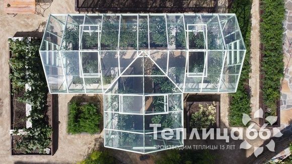Теплица Ботаник в необычном цвете!
