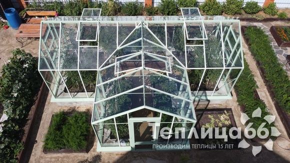 Теплица Ботаник в необычном цвете!